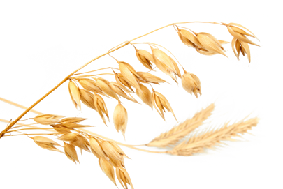 Gruau d'avoine