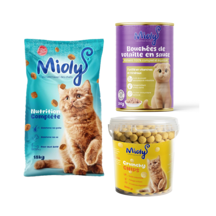 Pack Plaisir Félin- Chat